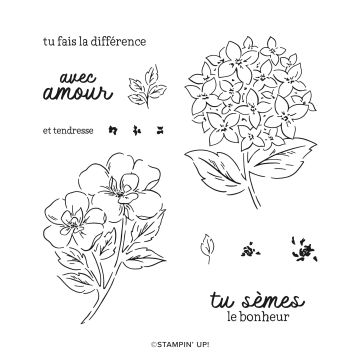 SET DE TAMPONS EN RÉSINE JARDIN DE RECONNAISSANCE (FRANÇAIS)