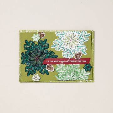 PRODUKTPAKET ZAUBERHAFTE TANNENZWEIGE (DEUTSCH)