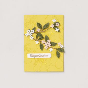 POIRES PARFAITES BUNDLE (FRENCH)