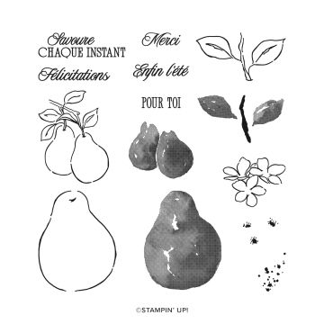 POIRES PICTURALES SUITE COLLECTION (FRENCH)