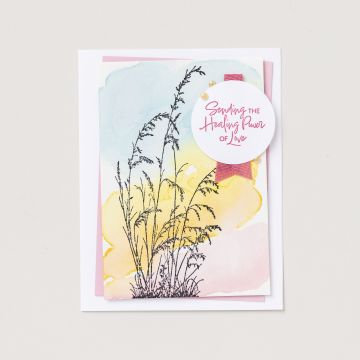 SET DE TAMPONS AMOVIBLES PRAIRIE GRASS (ANGLAIS)