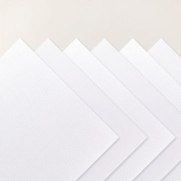 WHISPERS OF TEXTURE 12" X 12" (30.5 X 30.5 CM) SPECIALTY PAPER