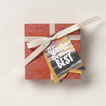 SET DE TAMPONS EN RÉSINE HAVRE DE CRÉATIVITÉ (FRANÇAIS)