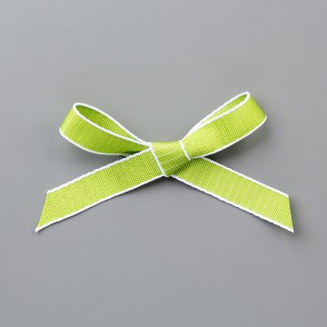 Ruban à tissage texturé 1/2" (1,3 cm) Grenouille guillerette