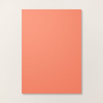 CALYPSO CORAL A4 CARDSTOCK