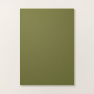 MOSSY MEADOW A4 CARDSTOCK