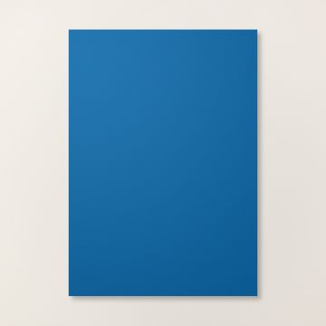 BLUEBERRY BUSHEL A4 CARDSTOCK