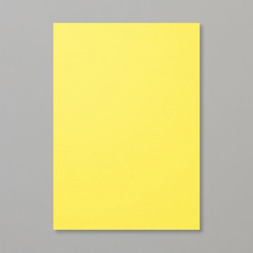 PINEAPPLE PUNCH A4 CARDSTOCK