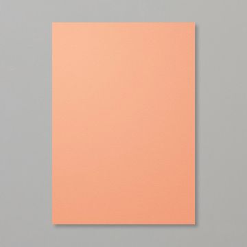 GRAPEFRUIT GROVE A4 CARDSTOCK