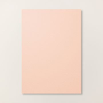 PETAL PINK A4 CARDSTOCK