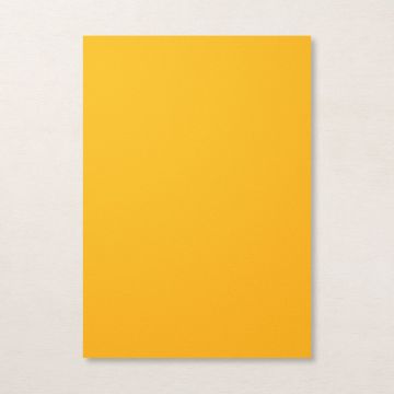 MANGO MELODY A4 CARDSTOCK