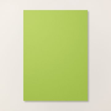 GRANNY APPLE GREEN A4 CARDSTOCK