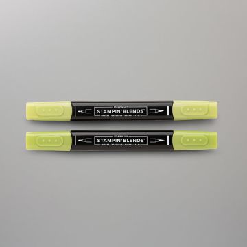 STAMPIN' BLENDS GRANNY APPLE GREEN COMBO PACK