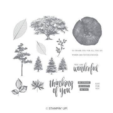 ROOTED IN NATURE CLING STAMP SET (EN)