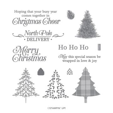 PERFECTLY PLAID PHOTOPOLYMER STAMP SET (EN)