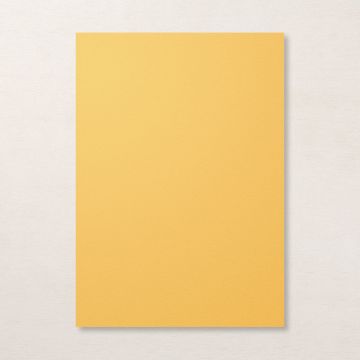 BUMBLEBEE A4 CARDSTOCK