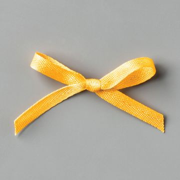 BUMBLEBEE 2020–2022 IN COLOR RIBBON