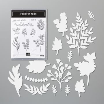 FOREVER FERN BUNDLE (ENGLISH)