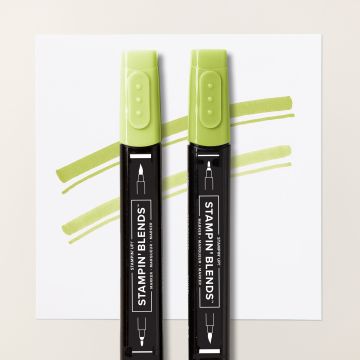 STAMPIN' BLENDS GRANNY APPLE GREEN COMBO PACK