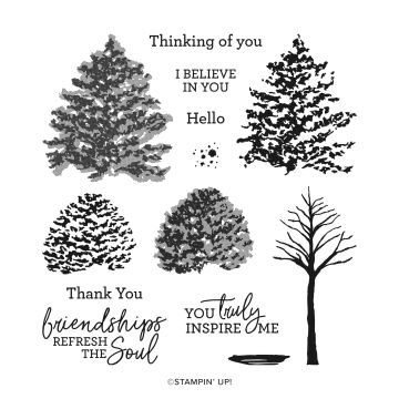 BEAUTY OF FRIENDSHIP PHOTOPOLYMER STAMP SET