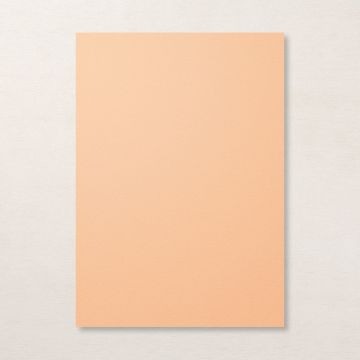 PALE PAPAYA A4 CARDSTOCK