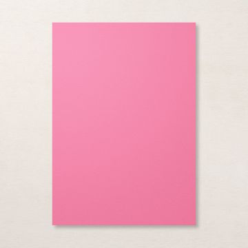 POLISHED PINK A4 CARDSTOCK