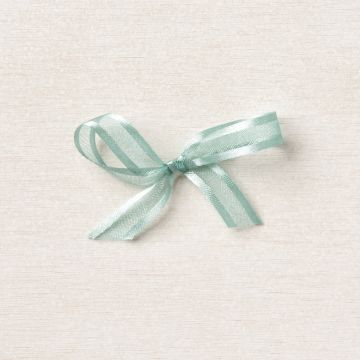 SOFT SUCCULENT 3/8" (1 CM) OPEN WEAVE RIBBON