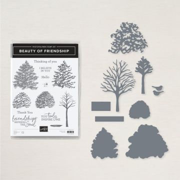 BEAUTY OF FRIENDSHIP BUNDLE (ENGLISH)