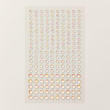 IRIDESCENT RHINESTONES BASIC JEWELS
