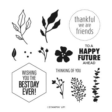 FRAMED OCCASIONS PHOTOPOLYMER STAMP SET (ENGLISH)