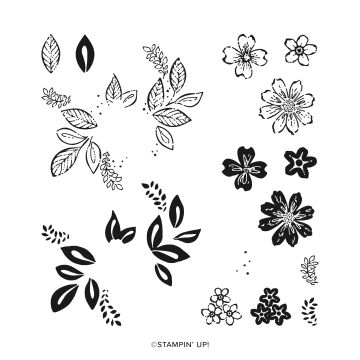 PETAL PARK PHOTOPOLYMER STAMP SET