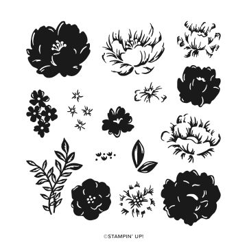 TWO-TONE FLORA PHOTOPOLYMER STAMP SET