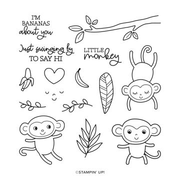LITTLE MONKEY PHOTOPOLYMER STAMP SET (ENGLISH)