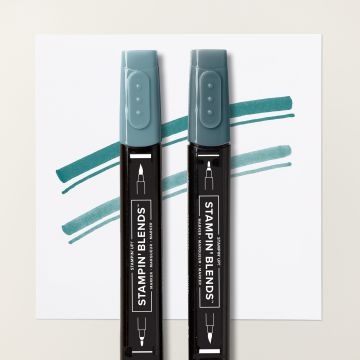 STAMPIN' BLENDS PRETTY PEACOCK COMBO PACK