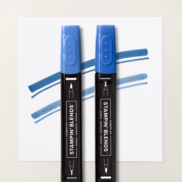 BLUEBERRY BUSHEL STAMPIN' BLENDS COMBO PACK