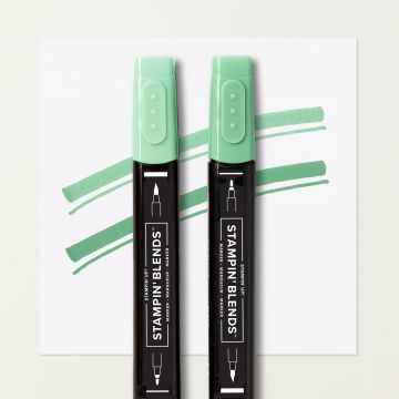 SHY SHAMROCK STAMPIN' BLENDS COMBO PACK