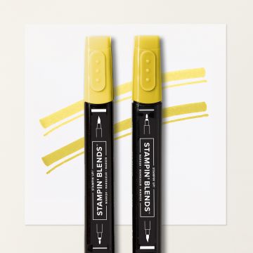 STAMPIN' BLENDS DARLING DUCKLING COMBO PACK