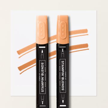 STAMPIN' BLENDS TIMID TIGER COMBO PACK