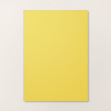 DARLING DUCKLING A4 CARDSTOCK