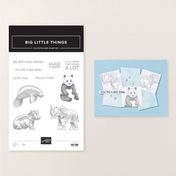 BIG LITTLE THINGS PHOTOPOLYMER STAMP SET (ENGLISH)