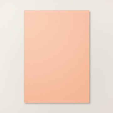 CRISP CANTALOUPE A4 CARDSTOCK