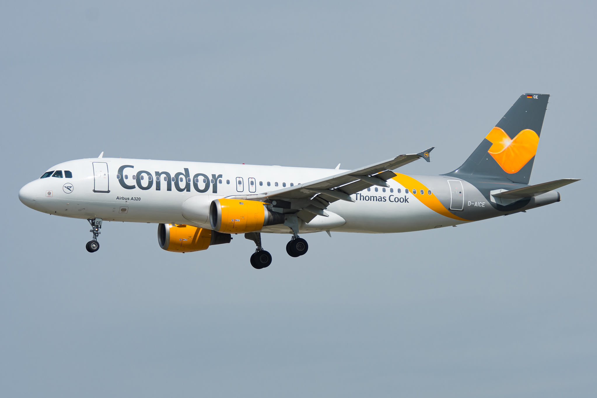 Condor Airbus A320212 Star Alliance Virtual