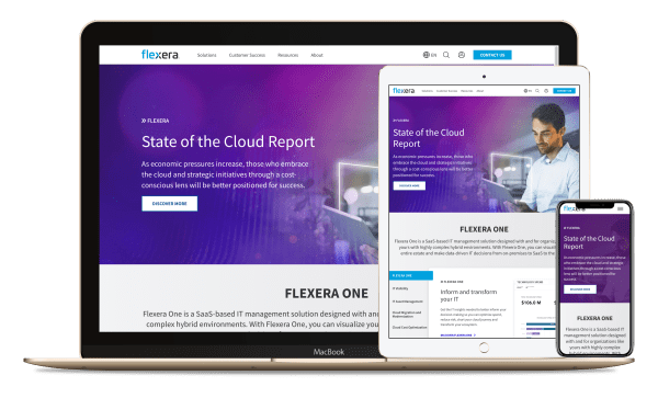 Screenshot of Flexera website.