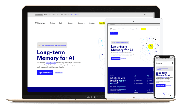 Screenshot of Pinecone website.