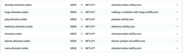 Netlify DNS dashboard showing subdomains