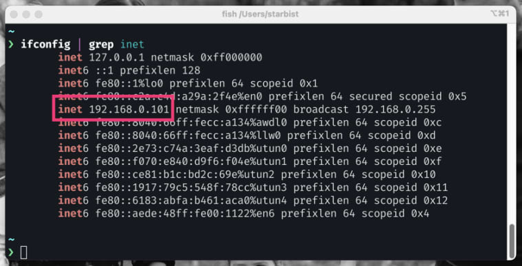 macOS Screenshot of an output of a ifconfig command showing external IP address of a localhost.