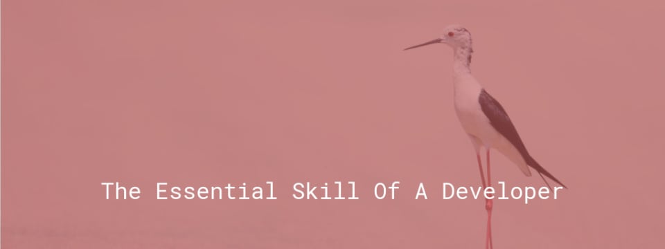 The essential skill of a developer