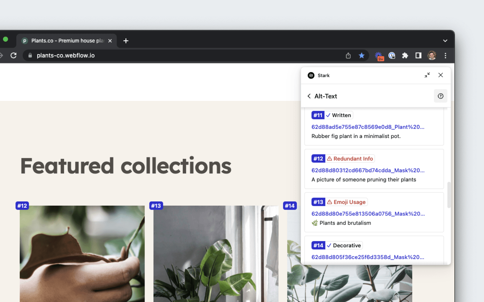 Stark’s browser extension using Alt-Text Annotations to surface the alt text status of every image on a plant shops existing website.