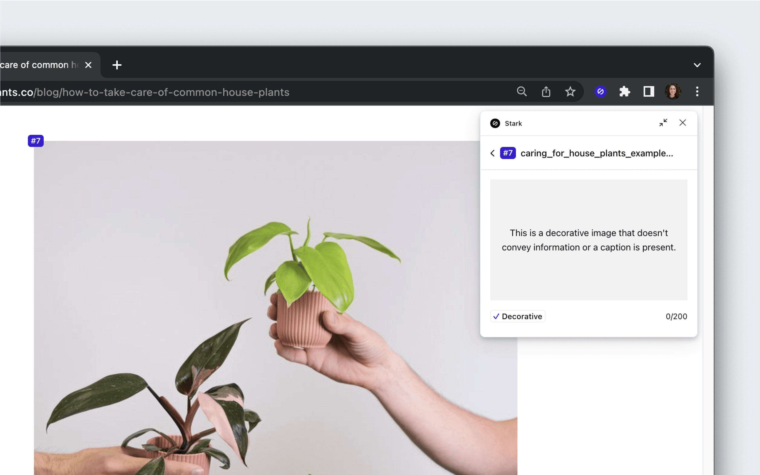 Stark’s browser extension using Alt-Text Annotations to display and label an image as “decorative.”