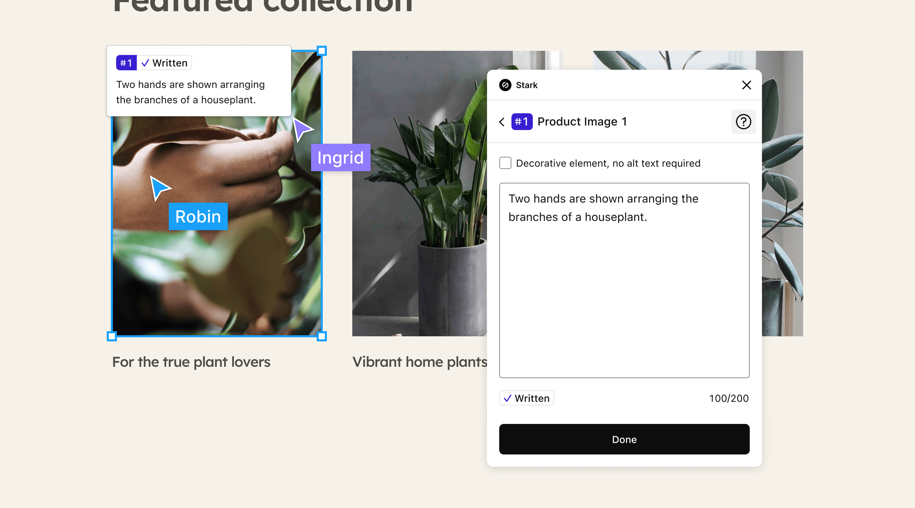 Using Alt-Text Annotations to write a description for three product images of houseplants on a website.